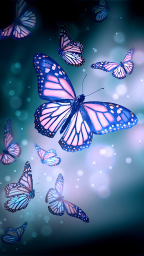 Butterfly wallpaper