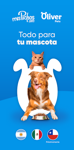 Предварительный просмотр приложения