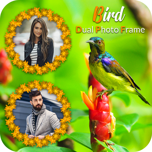 Bird Dual Photo Frame  Icon