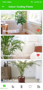 Home Garden 2
