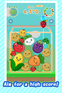 Vegetable Puzzle growth games