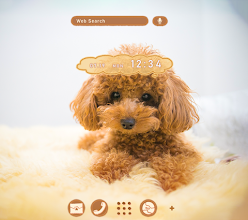 かわいい壁紙アイコン トイプードルの子犬 Google Play のアプリ