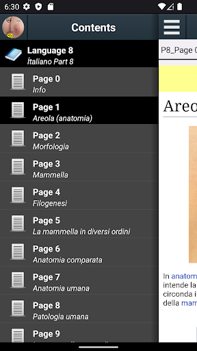 Anteprima dell'app