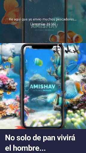 Android application Amishav screenshort