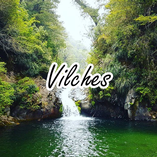 VilchesSuperApp! logo