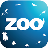 ZooApp icon
