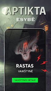 Ekrano kopijos vaizdas