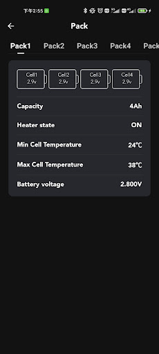 Projecta Battery Monitor Screen 2