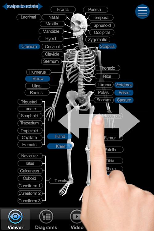 Skeletal Anatomy 3D - 1.0.5 - (Android)