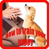 Training a Puppy icon
