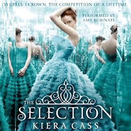 Icon image The Selection: Volume 1