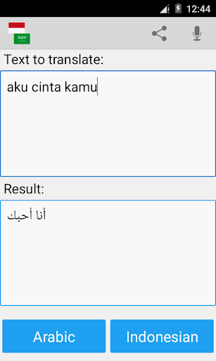 Indonesian Arabic Translator Screen 3