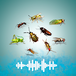 Cover Image of Скачать Insects sounds  APK