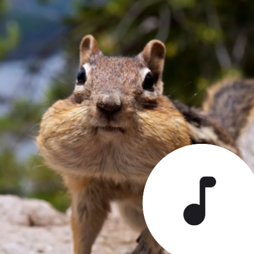 Chipmunk Sounds logo