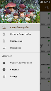 Грибы Screenshot