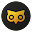Owly for Twitter Download on Windows