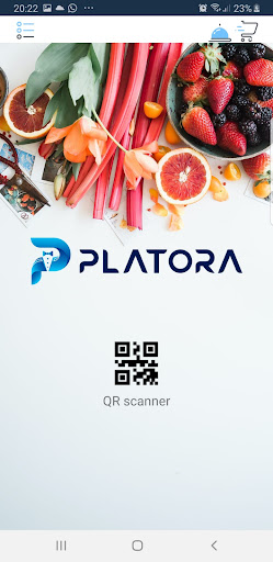 Platora Screen 2
