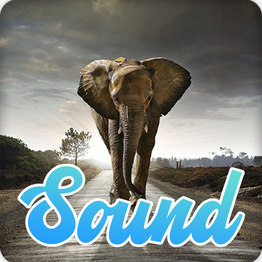 Elephant Sounds Effect - Apps on Google Play