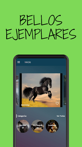 Android application Imagenes de caballos screenshort