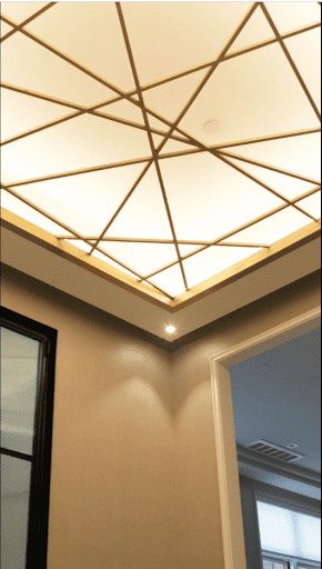 House Cieling Design Screen 2
