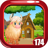 Cute White Yak Rescue Game Kavi - 174 icon