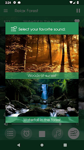 Relax Forest – Nature sounds: sleep & meditation 6