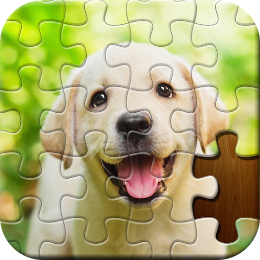 juegos de rompecabezas para adultos gratis