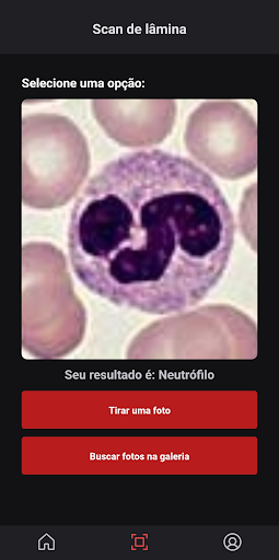Hematoscan Screen 3