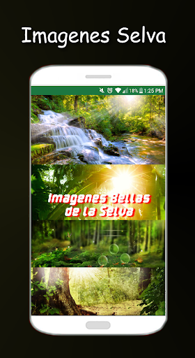 Images of the jungle - Natural Screen 2