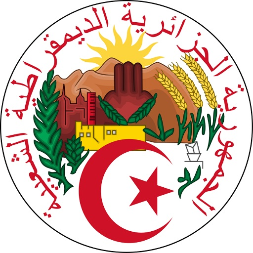 الدستور الجزائري 2020  Icon