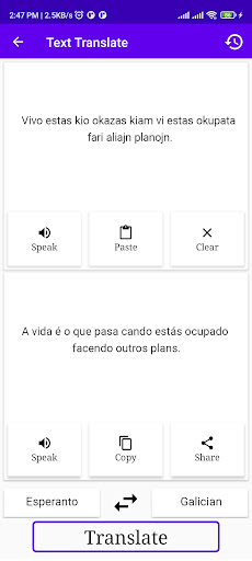 Esperanto Galician Translator Screen 2