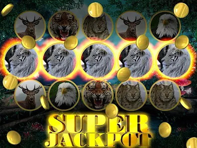 Wild Cat Slot: Real Jackpot & – Apps no Google Play