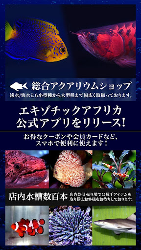 Android application ExoticAfrica(エキゾチックアフリカ)公式アプリ screenshort
