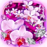 Cover Image of Download Diamonds and Orchids  APK
