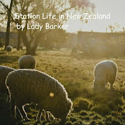 Station Life in New Zealand by Lady Barker ebook