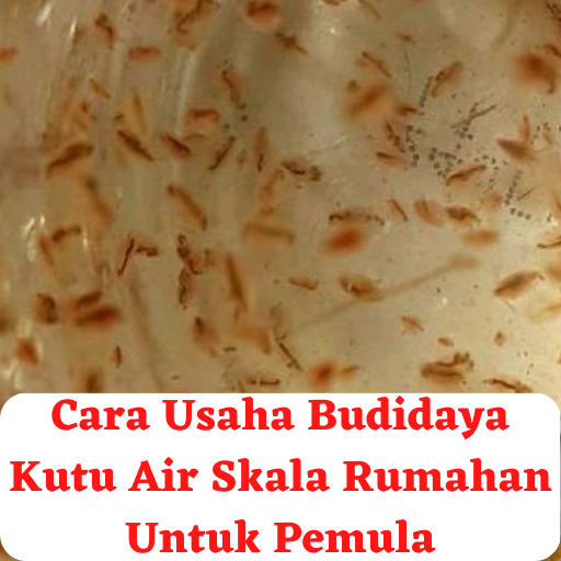 Cara Usaha Budidaya Kutu Air logo