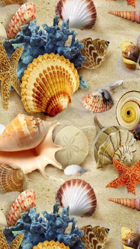 Seashell Wallpapers Screen 2