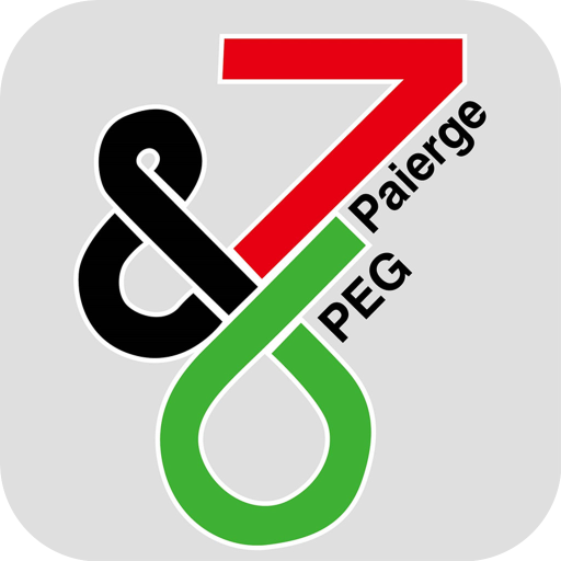 PG WiFi  Icon