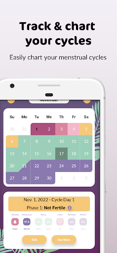 Screenshot of PeakDay Fertility Tracker