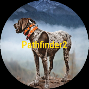 Localizador GPS Dogtra Pathfinder 2, Dogtra