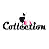 Dodo Collection Shopping App icon