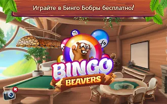 Game screenshot Бинго Бобры mod apk