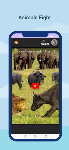 Wild Life   Animals App