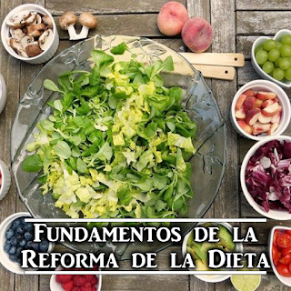 Principios Reforma de la Dieta