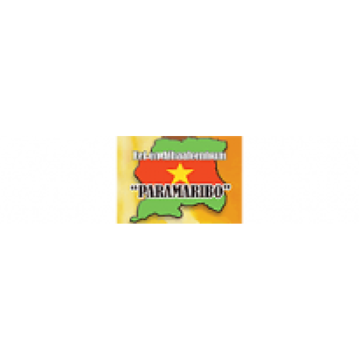 Paramaribo Eindhoven logo