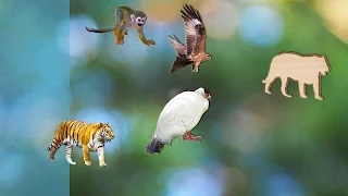 Puzzles for Kids Animals Full - Screenshot 1