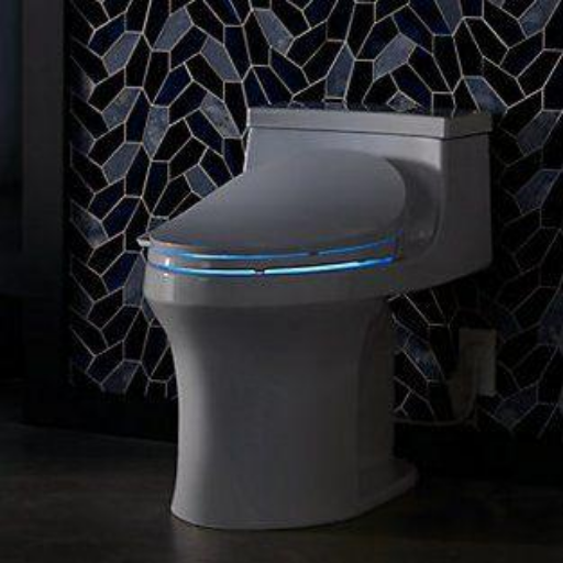 Bidet Toilet logo