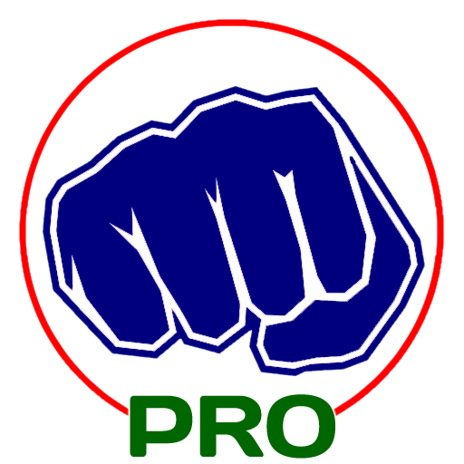 Virtual Boxing Trainer Pro logo
