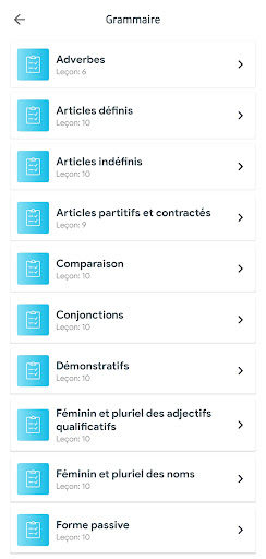 French Grammar: Learn & Test Screen 2