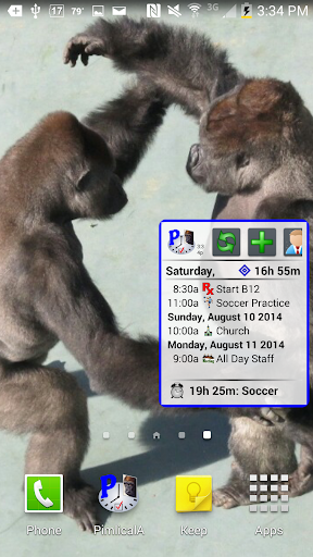 Pimlical Calendar Widget Screen 2